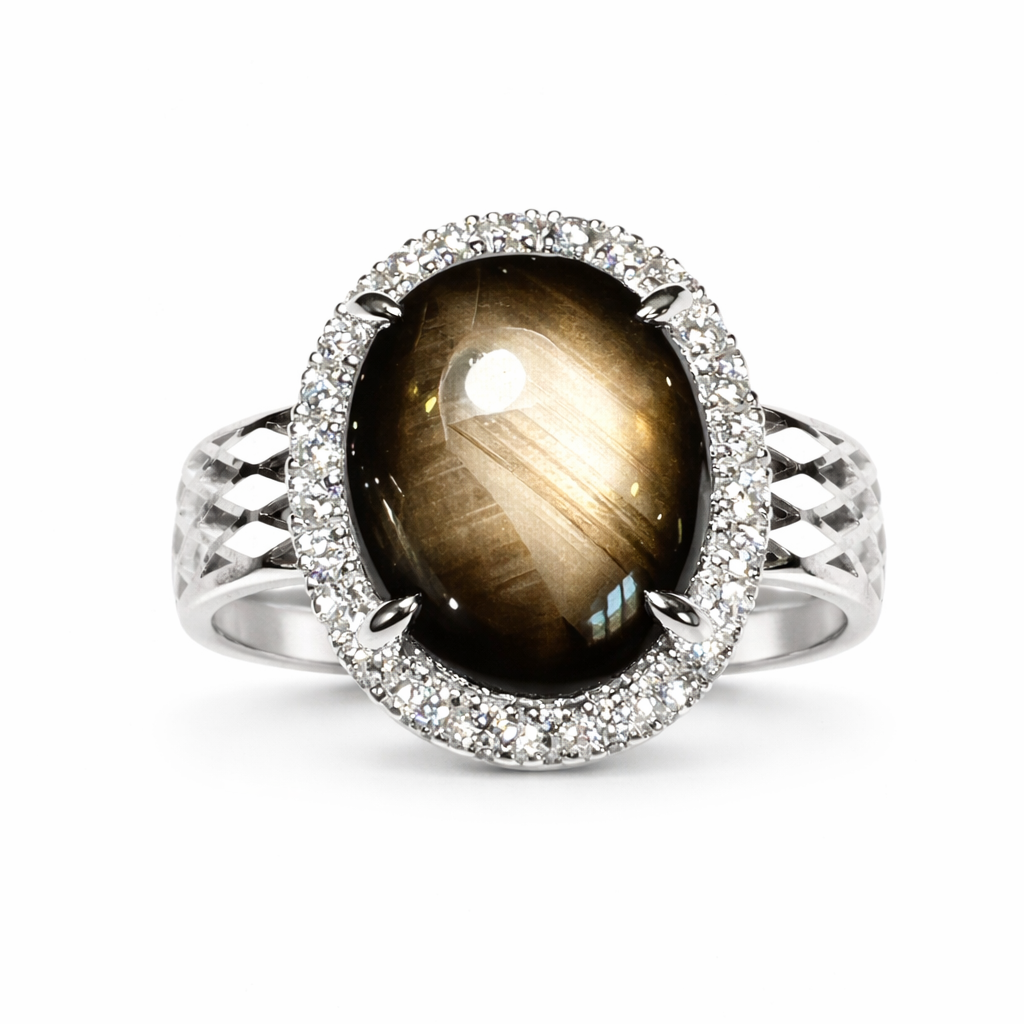 The Night Compass Ring : Natural Black Star Sapphire Halo Ring