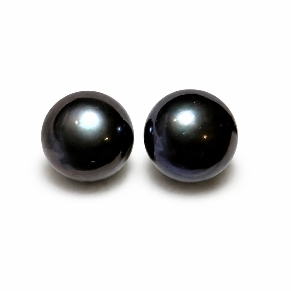 Tahitian Black Pearl  : Black Gold Black Tahitian Pearl Stud Earrings
